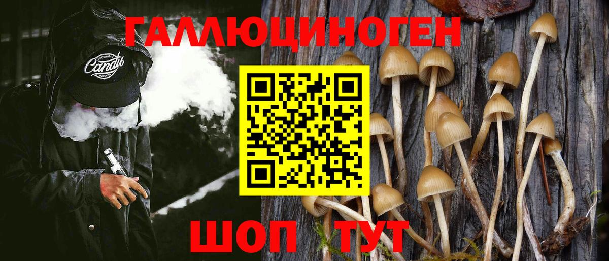 Псилоцибиновые грибы мицелий Грозный