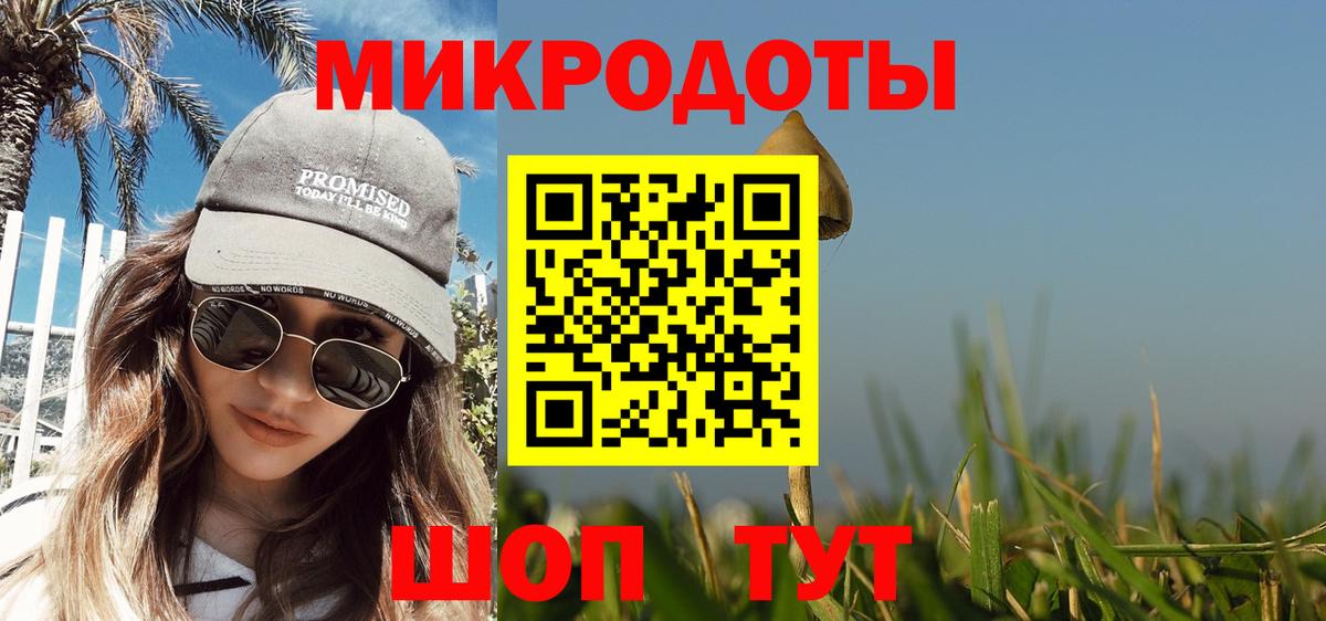 Галлюциногенные грибы Psilocybe  Вход с VPN  Грозный 