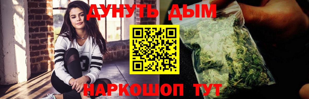 Бошки марихуана планчик  МАРИХУАНА White Widow  Грозный  Вход с VPN  Каннабис сатива 